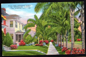 Florida ST. PETERSBURG Palm Lined Residence Street ~ Linen