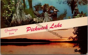 Greetings from Pickwick Lake Tennessee Valley Postcard PC352