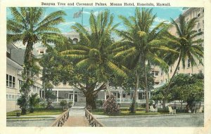 Banyan Tree Moana Hotel Honolulu Hawaii Island Curio Coconuts Postcard 20-2262