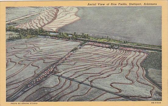 Arkansas Stuttgart Aerial View Of Rice Fields Curteich