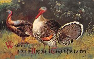 Thanksgiving Holiday Postcard
