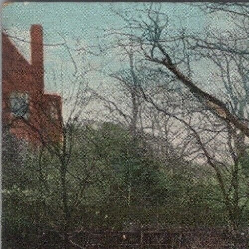 Northumberland Postcard - Jesmond Dene Stepping Stones, Newcastle RS39518