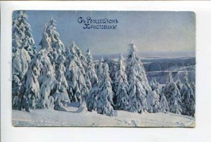 424564 RUSSIA Merry Christmas trees in the winter forest Vintage postcard