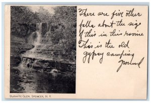 c1905 Scenic View Of Burhyte Glen Waterfalls Spencer New York NY Postcard