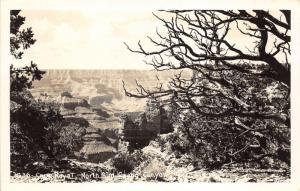 Arizona~Grand Canyon National Park~North Rim~Cape Royal~1940s RPPC