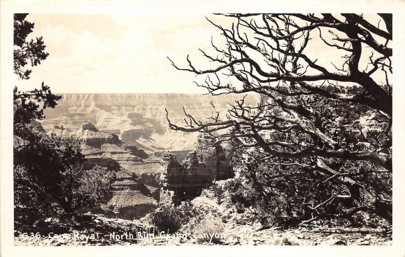 Arizona~Grand Canyon National Park~North Rim~Cape Royal~1940s RPPC