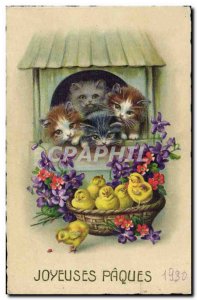 Old Postcard Cats Kittens Easter Chicks