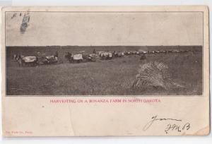 Harvesting on a Bonanza Farm ND