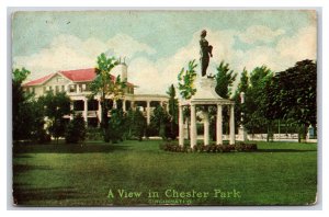 View in Chester Park Cincinnati Ohio OH UNP Unused DB Postcard V19