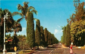Wells Road Palm Beach Florida Fl Postcard