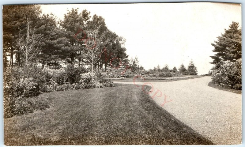 1910s Timeless Winding Park Road RPPC Transcendent Floral Garden Real Photo A143