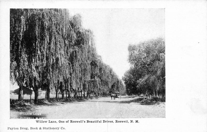 C-1905 Roswell New Mexico Willow Lane beautiful drive Payton Postcard 25-534