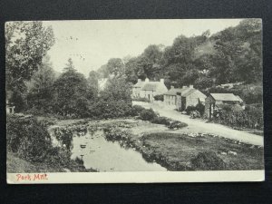 Wales The Gower PARKMILL c1911 Postcard by Harvey Barton