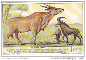 Liebig S1559 Antelopes No 2 Eland en Paardantilope