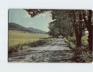 Postcard Shady Road Canada