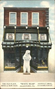 Allentown Pennsylvania PA White Bear Hat and Fur Store Taxidermy c1910 PC