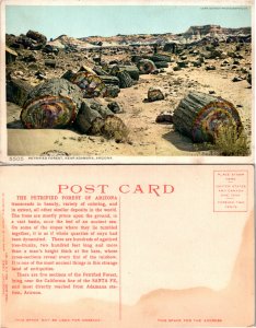 Petrified Forest, Arizona (22610