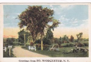 New York Greetings From South Worcester 1922