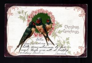 U S 1909 Christmas Picture Postcard!