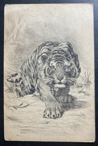 Mint Animals Picture Postcard Tiger Stalking