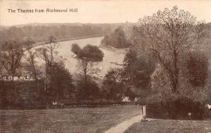 BR78663 the thames from richmond hill  london  uk