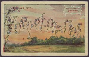 Language of Flowers,Forget Me Nots Postcard BIN