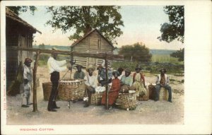 Black Americana - Weighing Cotton c1905 Postcard Unused