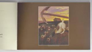 Jamie Wyeth Brandywine Conservancy 2005 Fundraising Booklet