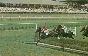 NY, Saratoga Springs, New York, Racing Centennial, Steeplechasing, Elma Hill