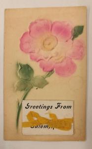 Salem New York Greetings Airbrushed Flower Fold out Views Postcard J64122