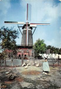 BR87980 zeeland netherlands windmill moulin a vent windmuhle netherlands