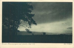 Germany lot artist A. Sauer Ernste Stimmung aus ernster Zeit tree landscapes