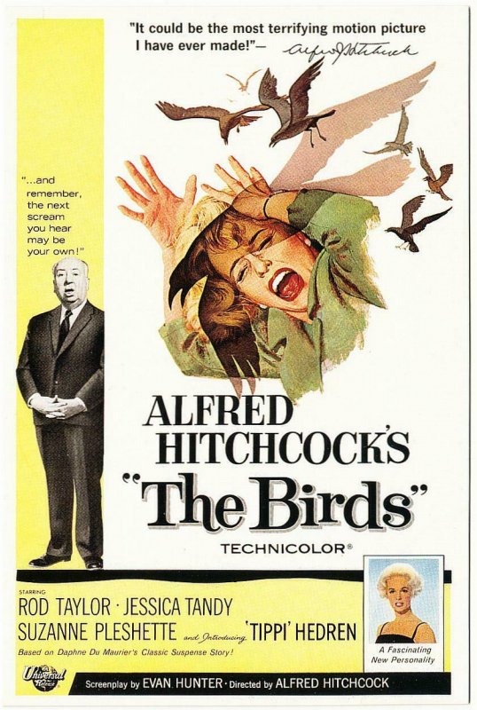 Postcard of The Birds Alfred Hitchcock Movie Rod Taylor Jessica Tandy