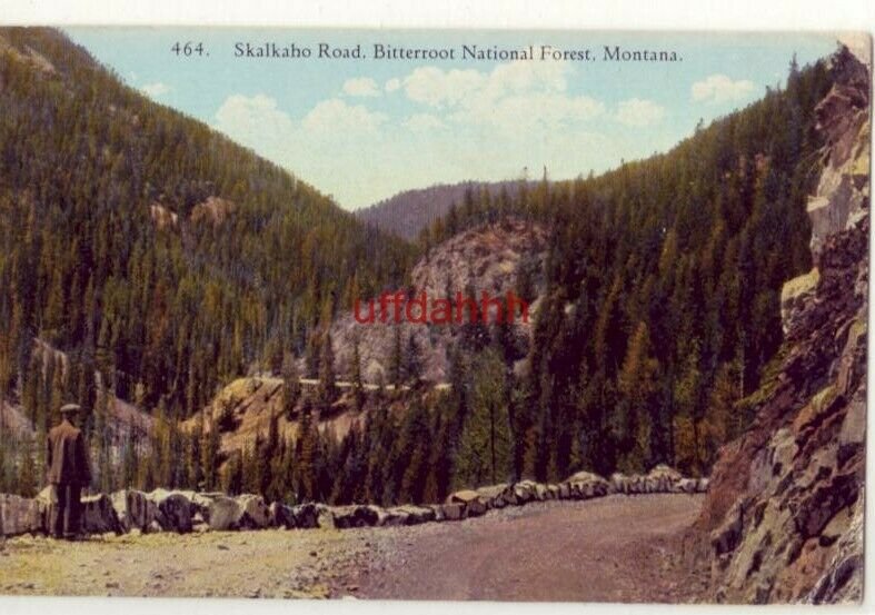 SKALKAHO ROAD, BITTERROOT NATIONAL FOREST, MONTANA