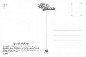 Weeki Wachee, Florida  