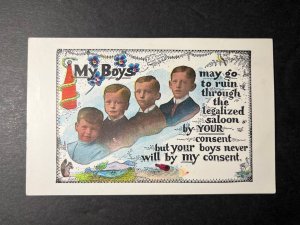 Mint USA Postcard AT Cook Hyde Park NY My Boys Alcohol Saloon