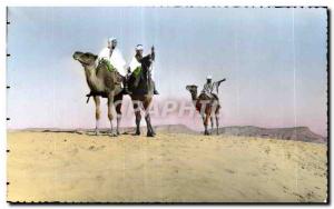 Old Postcard Algeria SCENES TYPES cameleers in the desert Camel Camel