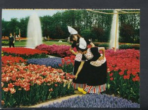 Netherlands Postcard - Holland in Flower Decoration   T8772