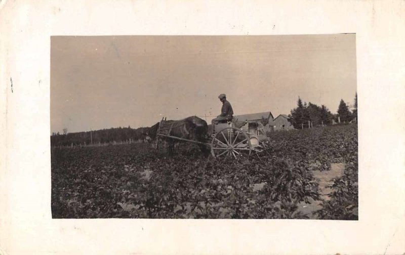 Manistique Michigan Potato Farm Real Photo Vintage Postcard JJ658856