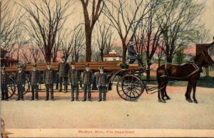 Fire Department Marshall Michigan