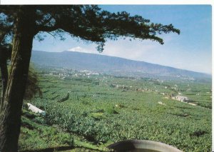 Spain Postcard - Orotava Valley - Tenerife - Ref ZZ4934