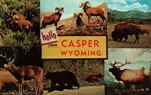 Casper Wyoming Multiview Postcard 