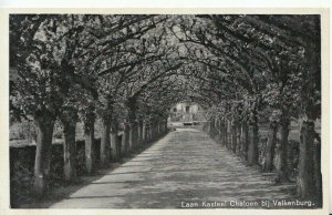 The Netherlands Postcard - Laan Kasteel Chaloen Bij Valkenburg  TZ11316