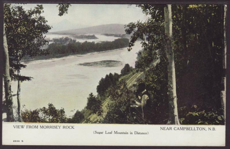 View From Morrisey Rock,Near Campbellton,NB,Canada