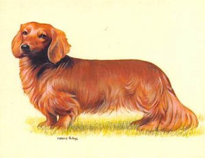 Approx. Size: 2.5 x 3 Dachshunds, (Modern 1999 Card)  Late 1800's Tradecard N...