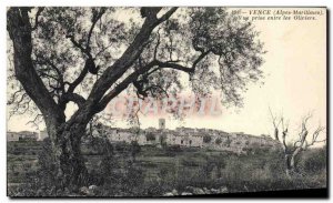 Postcard Old Vence View Caught between the olive trees