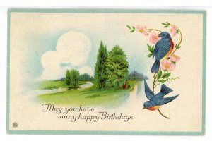 Greeting - Birthday      (crease)