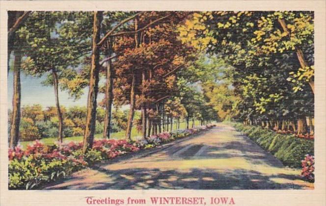 Iowa Greetings From Wellman 1938