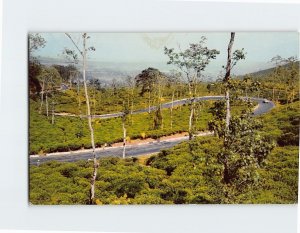 Postcard Lovely scene of Bandung-Jakarta crooked highway, Gunung Mas, Indonesia