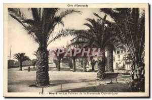 Old Postcard Dinard Les Palmiers the Promenade Clair de Lune